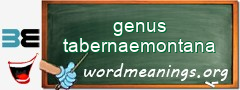 WordMeaning blackboard for genus tabernaemontana